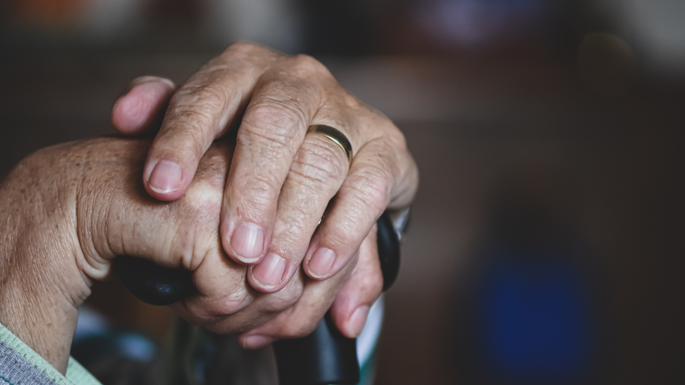 Elder Care in Noida